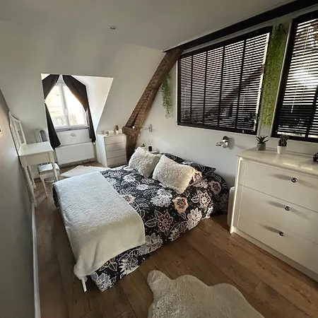 Apartman Le Cocon Briand *